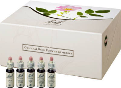 BACHBLÜTEN 10 ml Set Tropfen