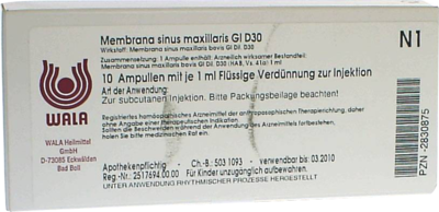 MEMBRANA sinus maxillaris GL D 30 Ampullen