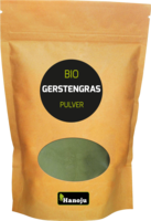 BIO GERSTENGRAS PULVER