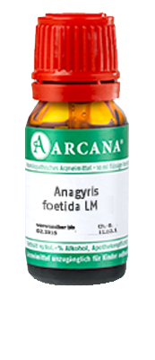 ANAGYRIS foetida LM 15 Dilution