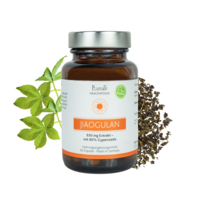 JIAOGULAN EXTRAKT mit 80% Gypenoside Kapseln