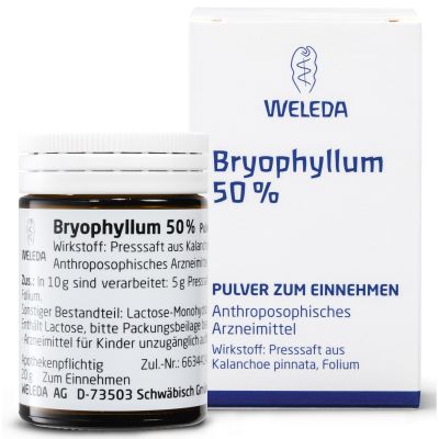 BRYOPHYLLUM 50% Pulver zum Einnehmen