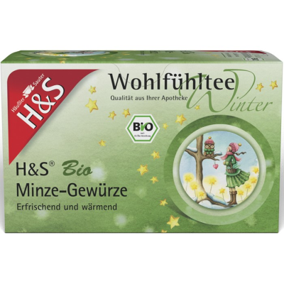 H&S Wintertee Bio Minze-Gewürze Filterbeutel