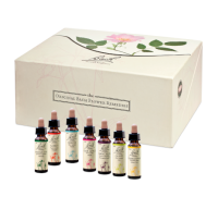 BACHBLÜTEN 10 ml Set Tropfen