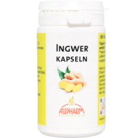 INGWER KAPSELN 300 mg