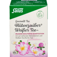 WEISSER TEE Blütenzauber Bio Salus Filterbeutel