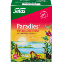 PARADIES Vitamin C-Früchtetee Salus Filterbeutel