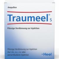 TRAUMEEL S Ampullen