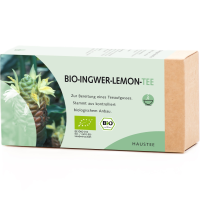 INGWER LEMON Tee Bio Filterbeutel