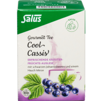 COOL CASSIS Kräutertee Salus Filterbeutel