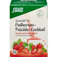 ERDBEEREN Früchtecocktail Salus Filterbeutel