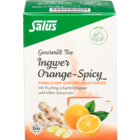 INGWER ORANGE Spicy Tee Salus Filterbeutel