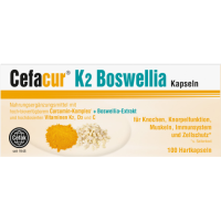 CEFACUR K2 Boswellia Hartkapseln