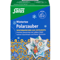 POLARZAUBER Früchte-Gewürztee Bio Salus Filterbtl.